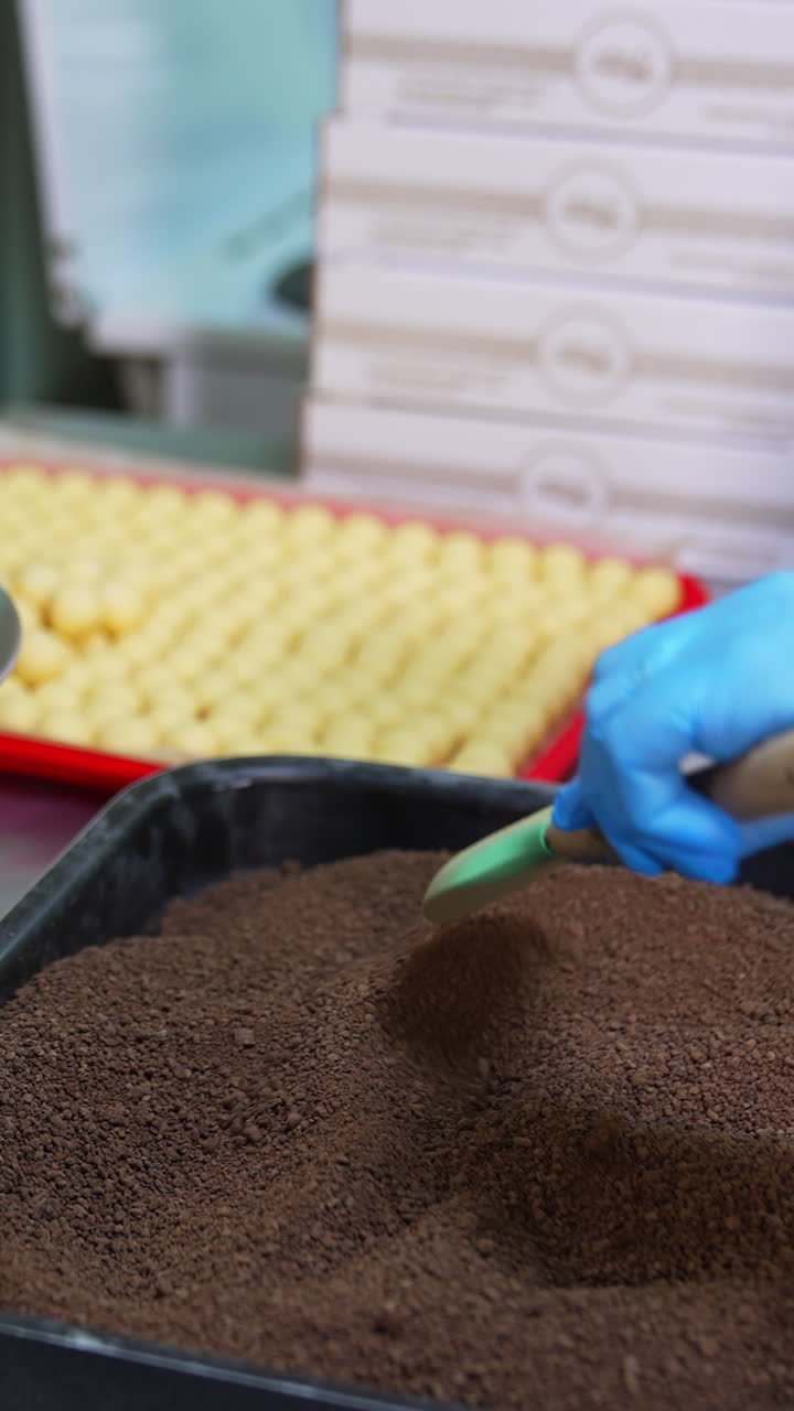 Female worker in latex gloves covers creamy candies with chocolate. Other worker coats chocolate balls with cocoa sprinkling. Candy making concept. Vertical video