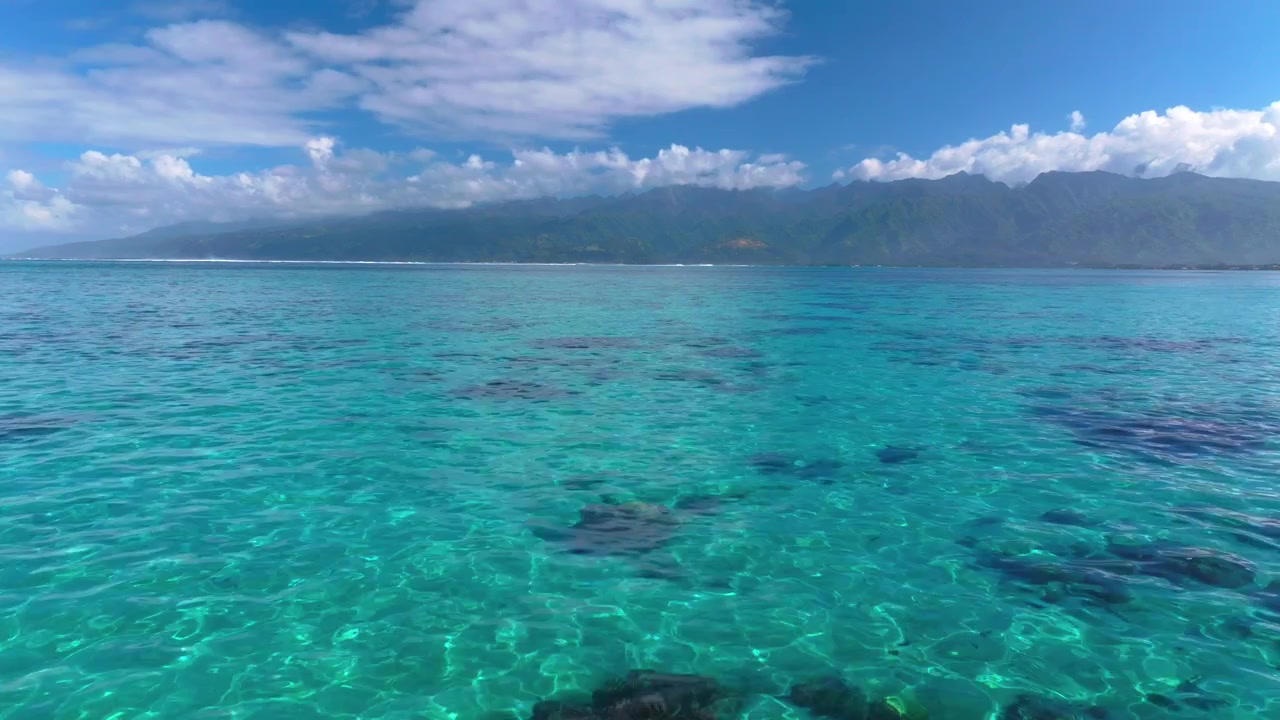 Franska Polynesien, Södra Stilla havet, barriärkorallrev, drönarvy över Tahiti, Taiarapu, Vairao, Matiti, Papara, Papeete, Moorea, Bora Bora. Marint liv, turkost vatten, kanalpass, snorkling, simmar framåt.