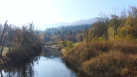 aerial above river with amazing autumn colors in fall forest, rakov skocjan, slovenia