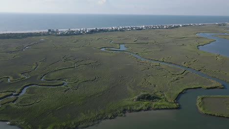 aerial view of marshland along the coast
