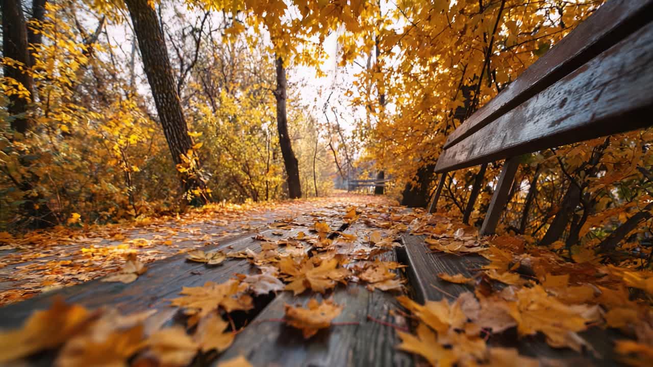 A Tranquil Autumn Stroll: Captivating Golden Leaves and Serenity on a Pathway of Nature's Splendor