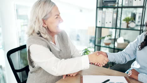 business women, client handshake
