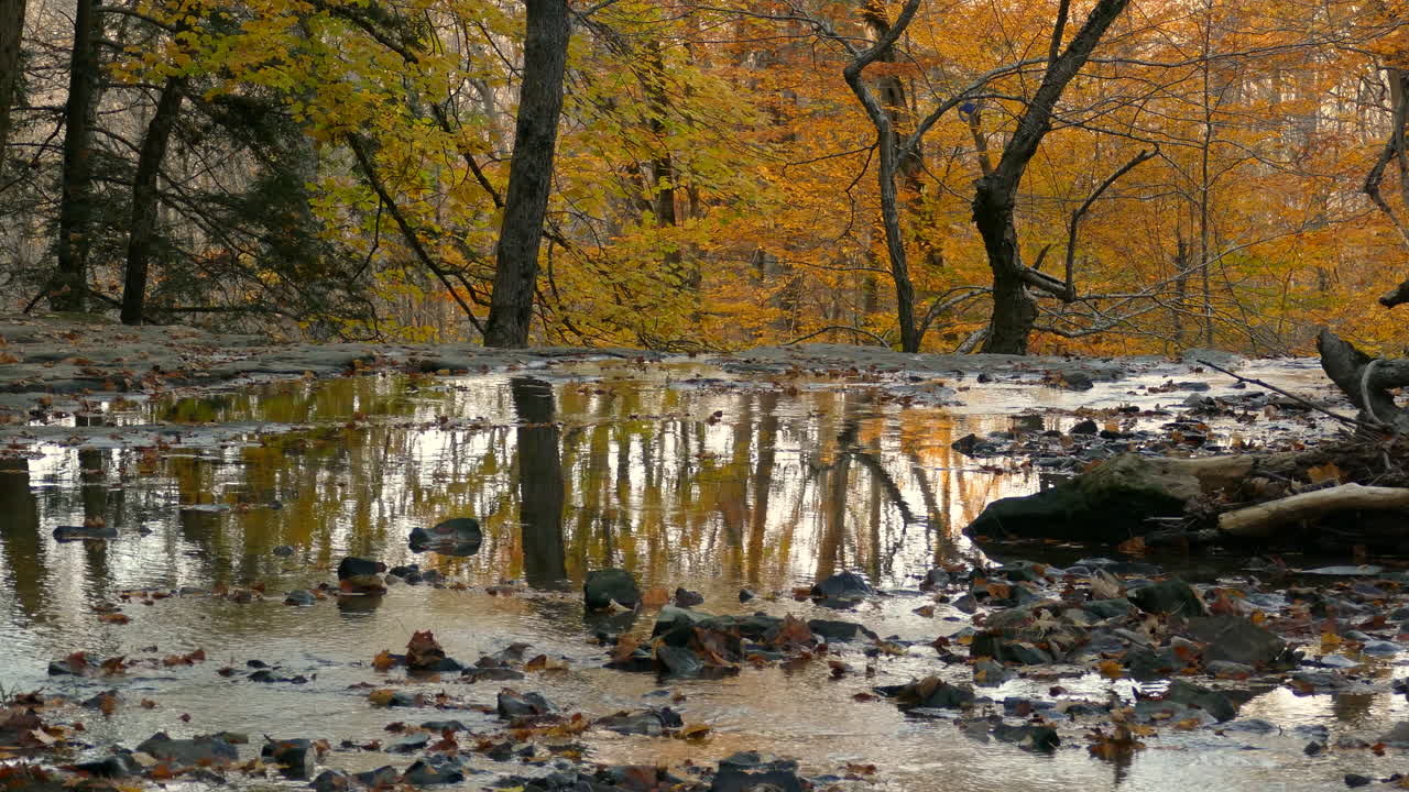 pequeñas ondas de riachuelo a través de las hojas caídas de un colorido paisaje otoñal