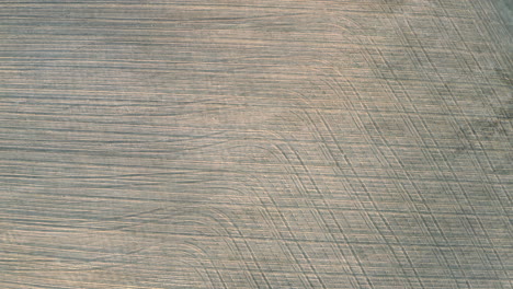 Rotating-overhead-aerial-view-of-a-dry-brown-crops-and-fields-after-harvest-with-symmetrical-wheel-trail-patterns-in-Czech-Republic