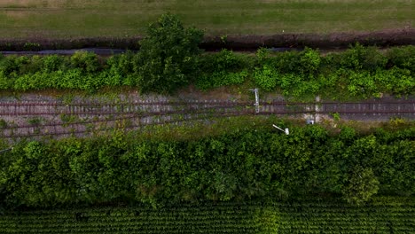 aerial view of train tracks amidst green landscape