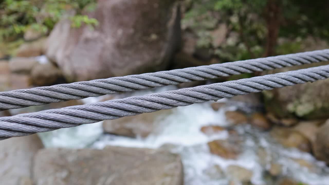 A sturdy metal cable stretches across a flowing forest stream, surrounded by lush greenery and rocks