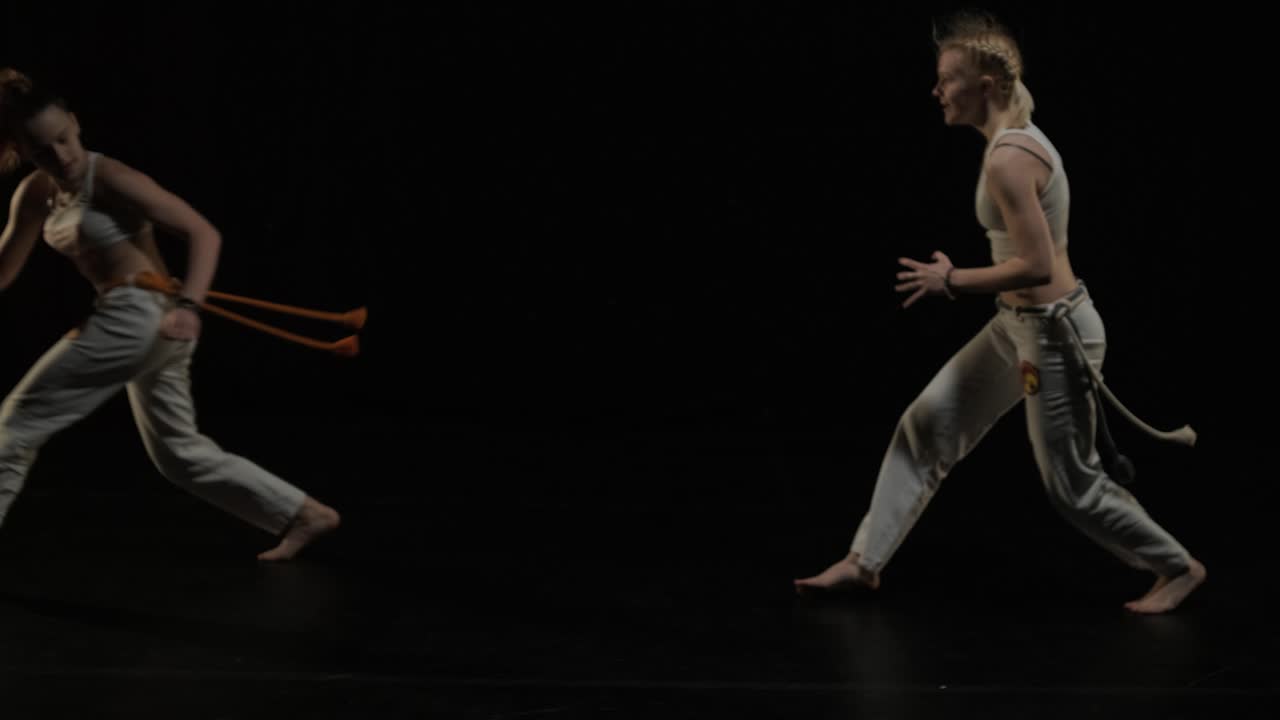 un grupo de bailarines profesionales están practicando capoeira en la oscuridad contra un foco de luz en un fondo negro de estudio. arte marcial afro-brasileño que combina elementos de la danza.