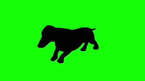 a silhouette of a dachshund dog running on green screen, perspective view. animal silhouettes, seamless loop 3d animation. you can easily remove the green screen using any video editor.