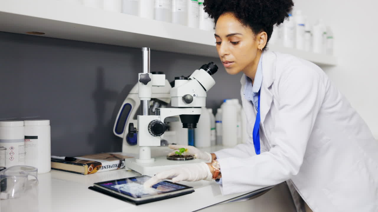 Scienziato, pianta e microscopio