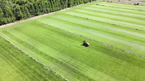 Ein-Arbeiter,-Der-Einen-Rasenmäher-Fährt,-Erntet-Das-Gras-Auf-Einer-Grasfarm,-Scheiben-General-Roca---Luftaufnahme