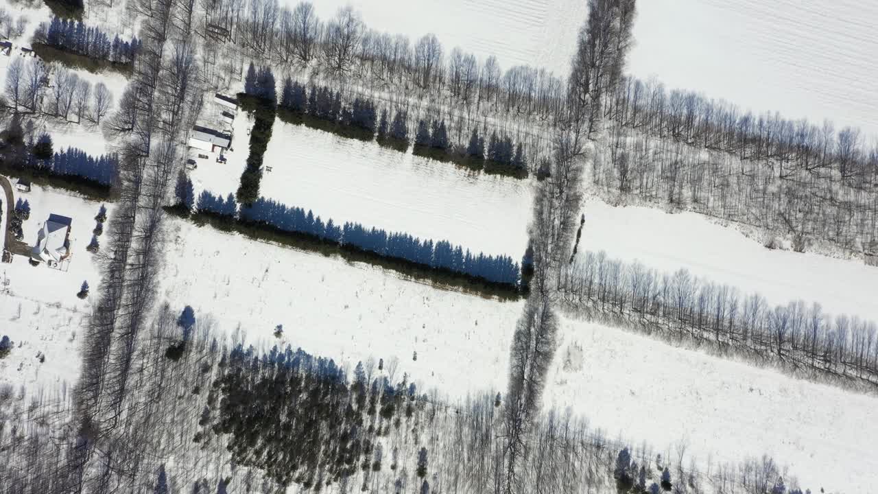 Splendida vista aerea dall'alto di un paesaggio rurale con campi rettangolari, strade e case coperti da un manto di neve fresca in una giornata di sole, che crea lunghe ombre dagli alberi