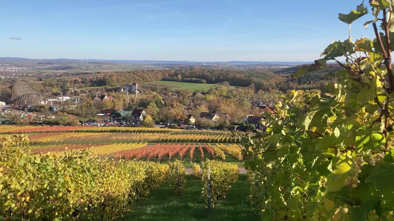 In the vineyards close to Heilbronn, Germany, Michaelsberg, Michael's mountain