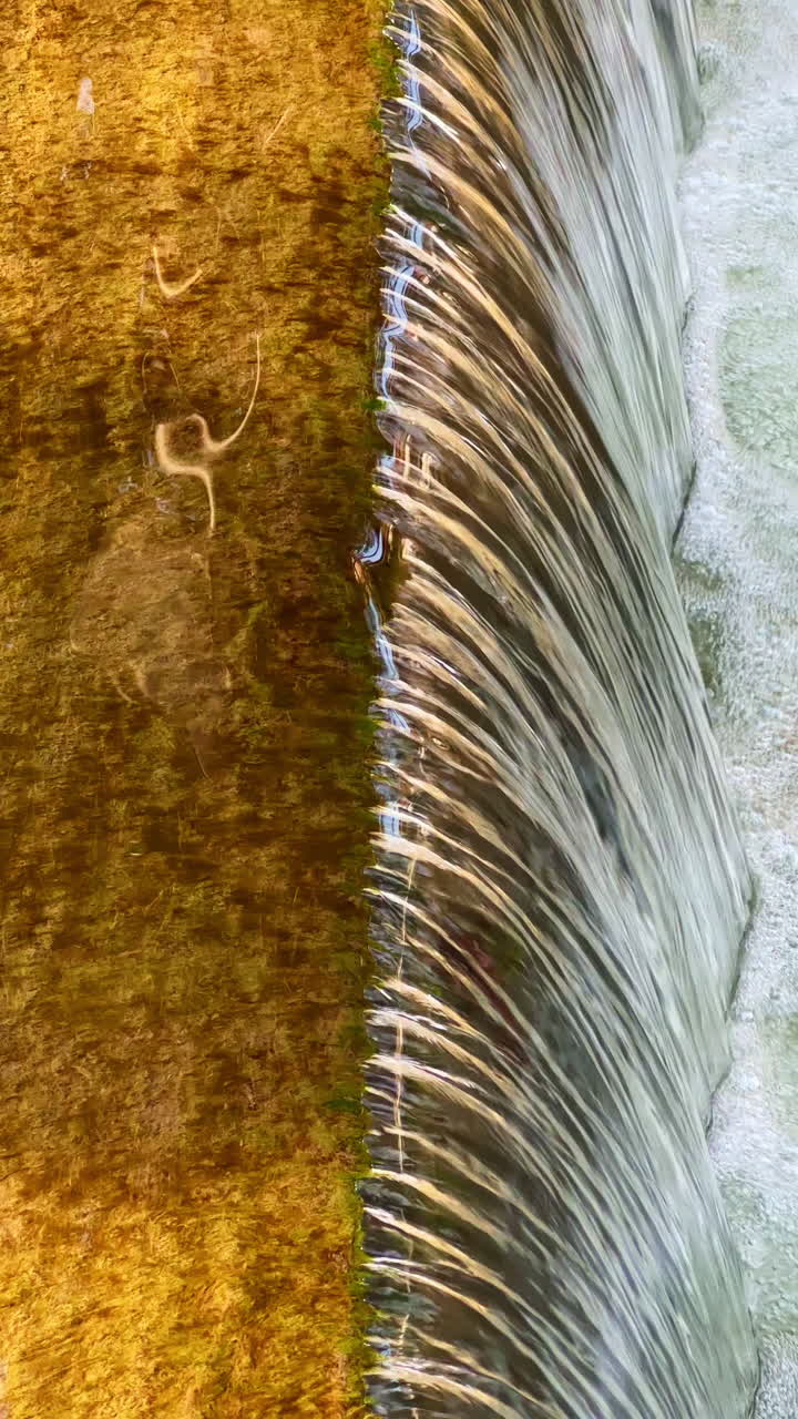Flowing water cascades over a textured surface in a vibrant natural setting at midday, creating a mesmerizing display of nature's beauty