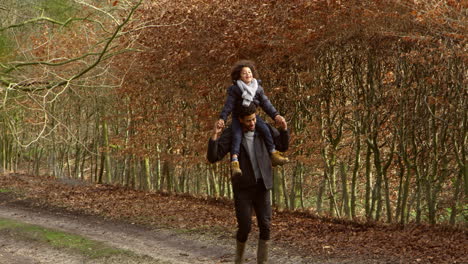 father carrying son on shoulders during walk shot on r3d