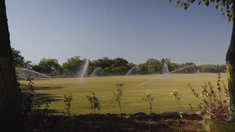 bright and sunny summer day