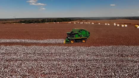 a combine tractor gathers cotton from a field, drone shot