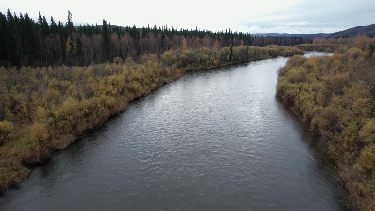 The Chena River near Fairbanks, Alaska with fall colors