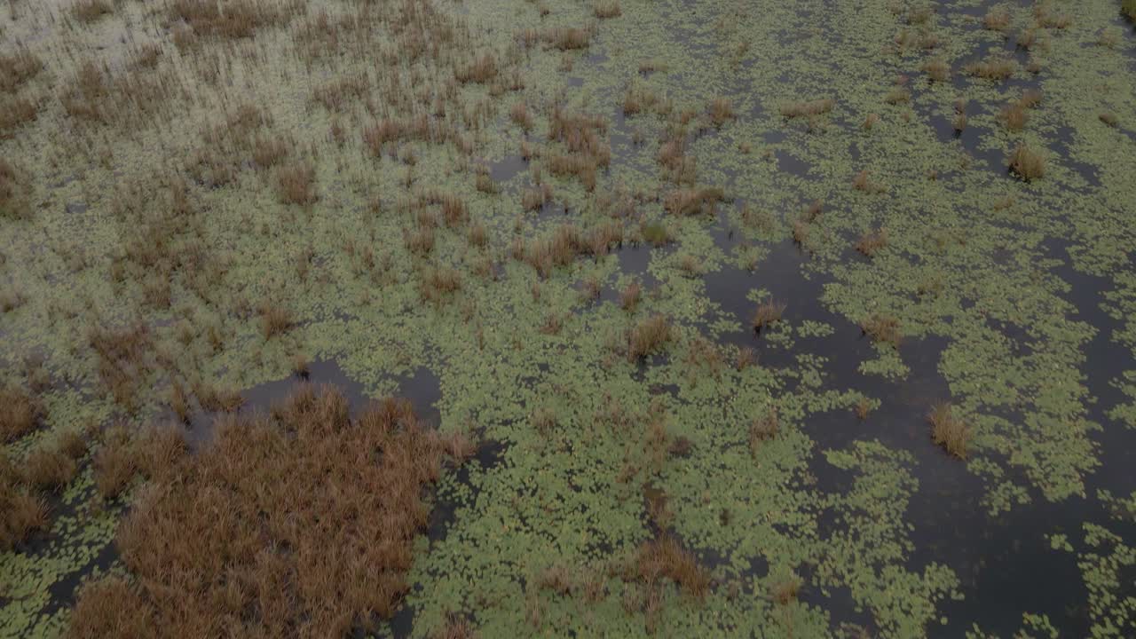 vuelo aéreo sobre las marismas de mozambique