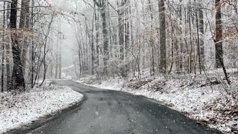 un video en cámara lenta de la nieve cayendo en un camino de tierra en el bosque en la temporada de invierno