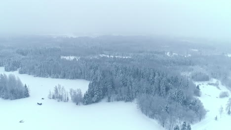 a stunningly captured bird's-eye shot showcases the beauty of nature, where the entire land and trees are covered in white fluffy snow with a gray sky and mist