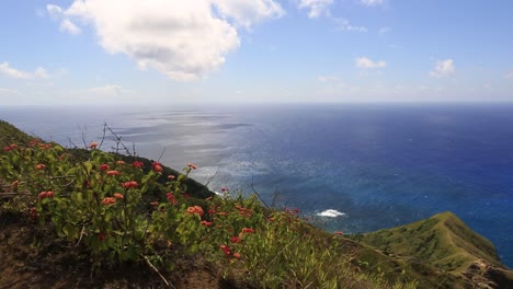 endless horizon from the pitcairn island