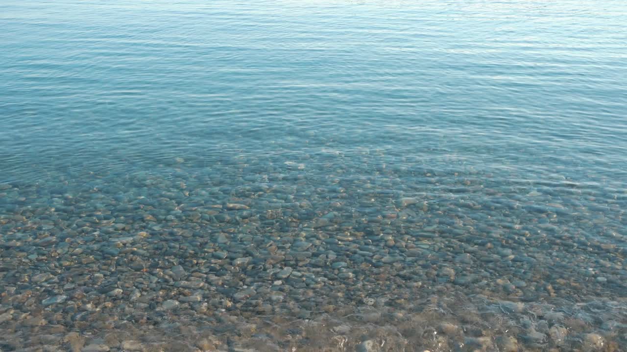 투명하고 평온한 열대 물 표면, 루프 비디오