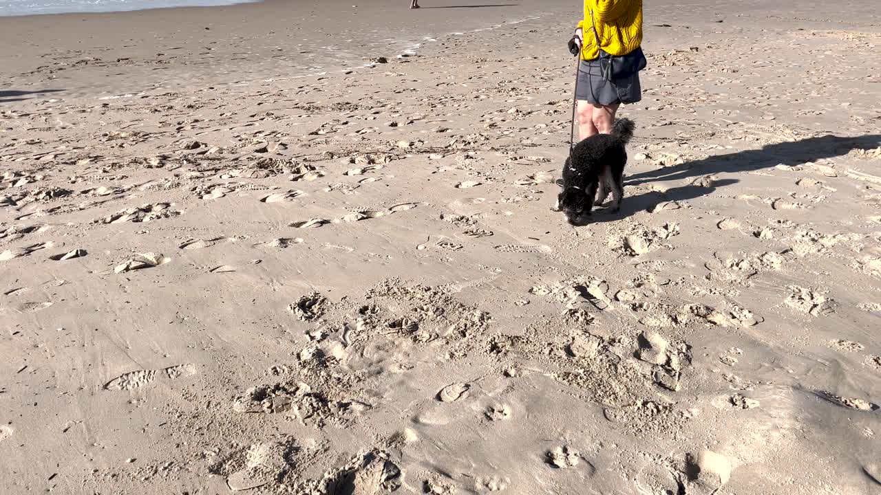 카스카이스 의 은 날 해변 에서 검은 라브라도르 레트리버 를 산책 시키는 여자 의 근접적 인 모습