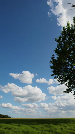 scenic countryside landscape with tree and clouds