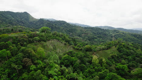aerial panoramic shot of tropical landscape