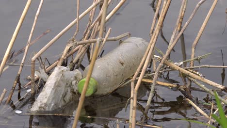 trampa de residuos de botellas de plástico en el río cerca del arroyo yangjaecheon en seúl, corea del sur