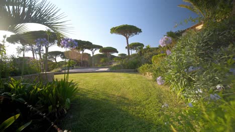 Real-estate-garden-with-pool-being-revealed-behind-some-bushes