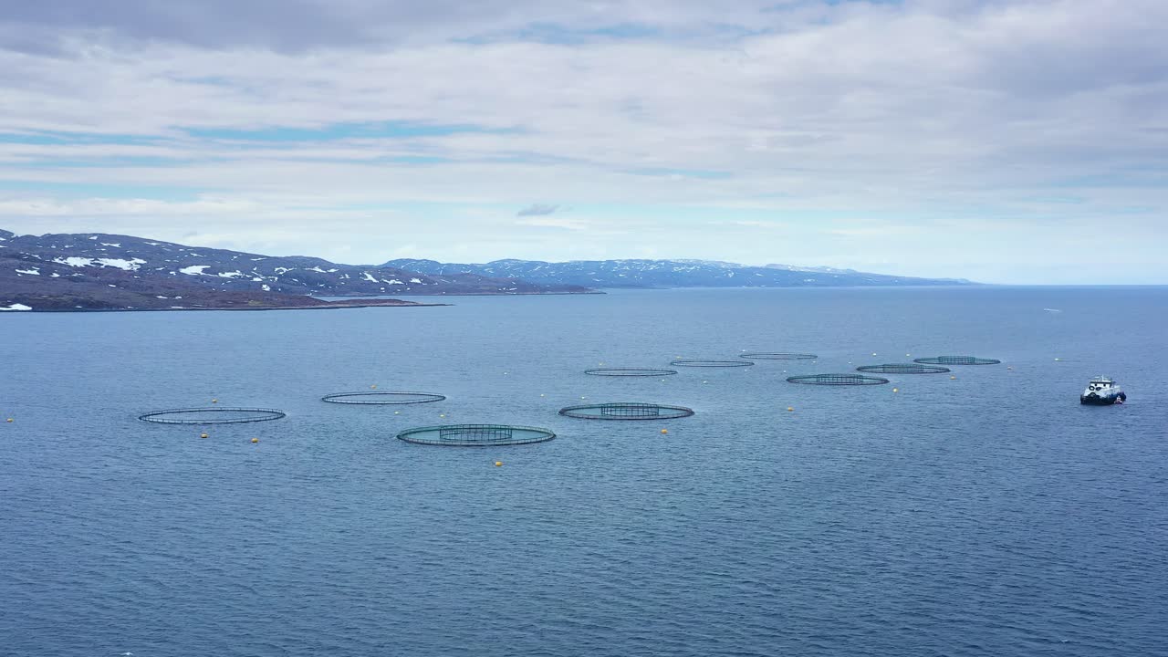 노르웨이에서 연어  ⁇ 시를 하는 공중 촬영