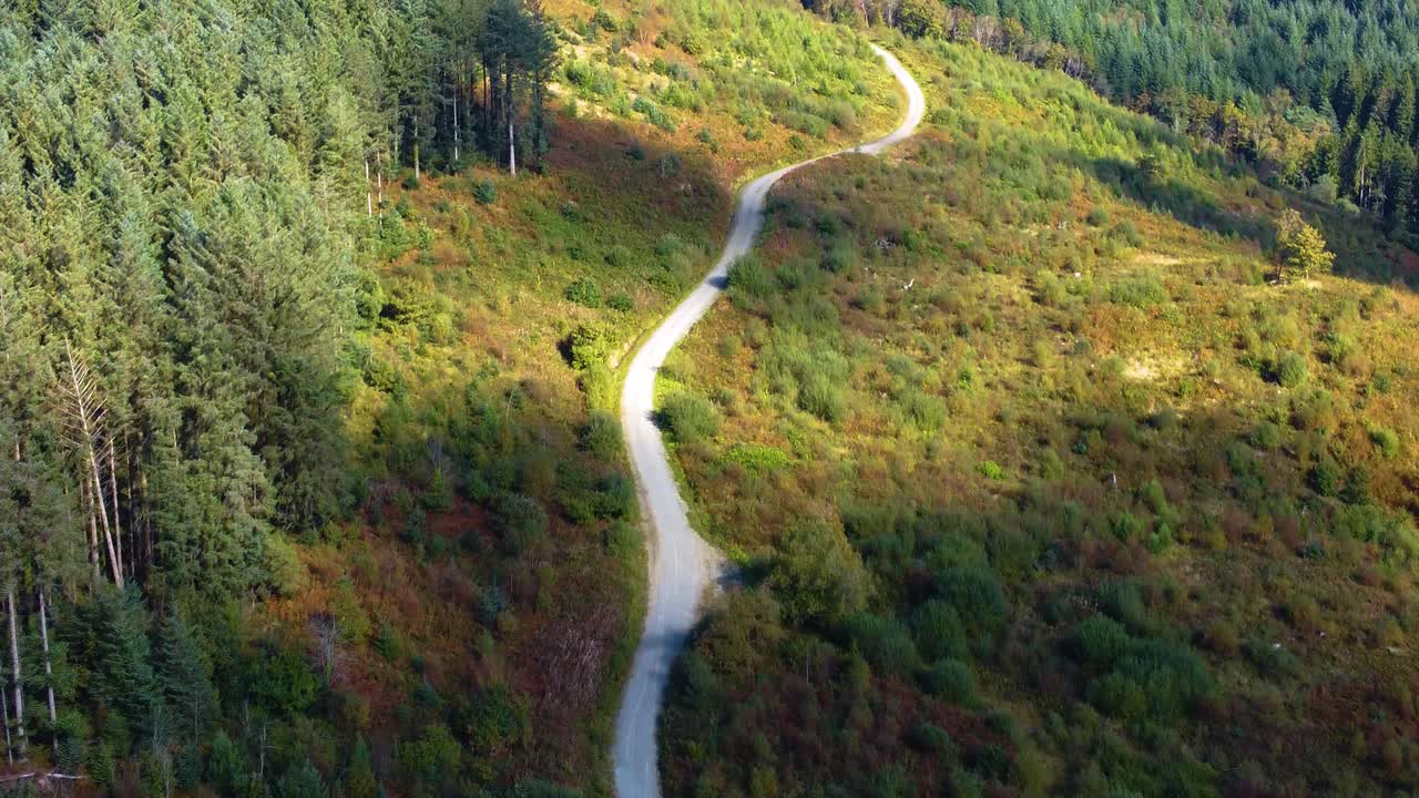 Elegant Tilting Up Aerial View of Winding Gravel Hiking Path on Mountain with Cloud Shadow Over Forest as Camera Reveals Trail Leading to Top