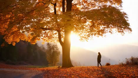 woman in autumn forest