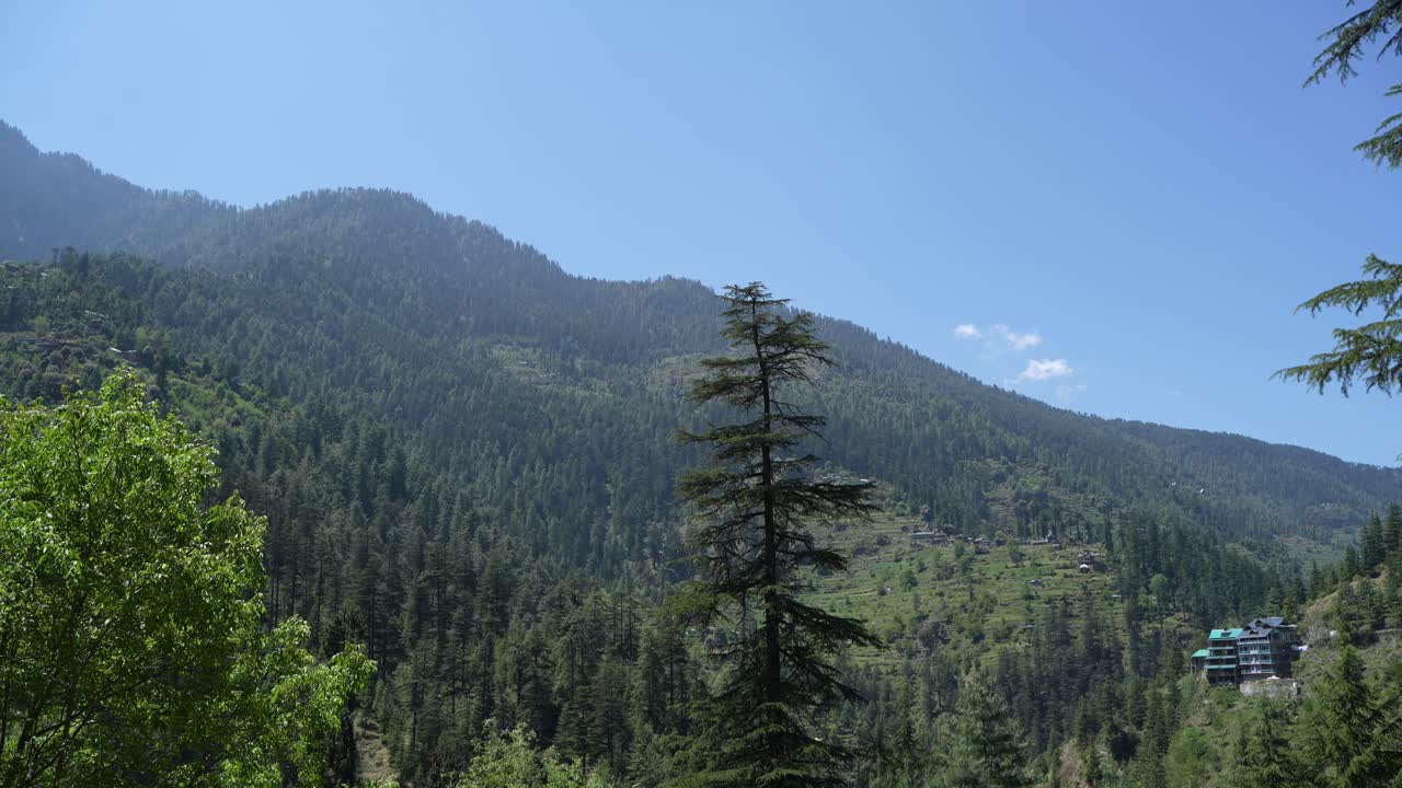 Plants, houses and natural diversity of the mountainous region.