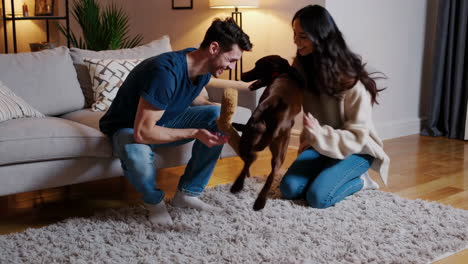 a happy couple playing with their labrador dog at home