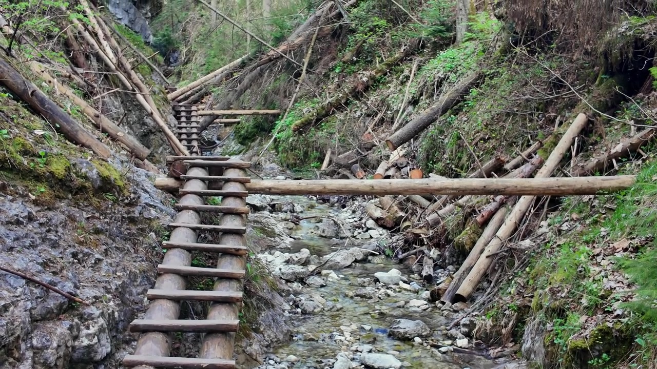 Række af træstiger til vandrere, der navigerer i den smalle Sucha Bela-kløft i Slovakisk Paradis Nationalpark i Slovakiet.