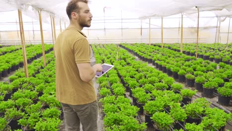 joven florista trabajando en el invernadero.