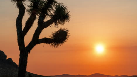 Amanecer-Carmesí-Sobre-El-Desierto-De-Mojave-Con-Una-Silueta-De-árbol-De-Joshua-En-Primer-Plano---Lapso-De-Tiempo