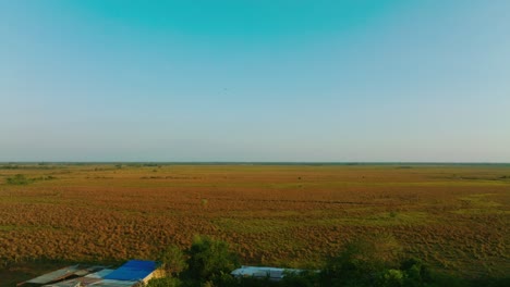 Extensos-Y-Exuberantes-Campos-Bajo-Un-Cielo-Azul-Claro-En-Arauca,-Colombia,-Al-Amanecer,-Vista-Aérea