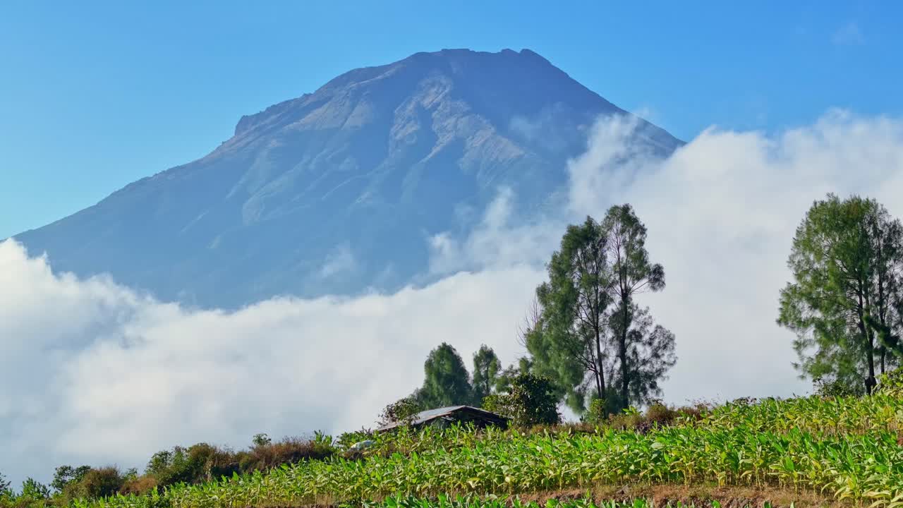 Nuvole che coprono il paesaggio esotico del vulcano Sumbing, Indonesia. Ripresa aerea