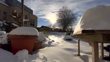 garten an einem sonnigen tag im winter mit schnee bedeckt