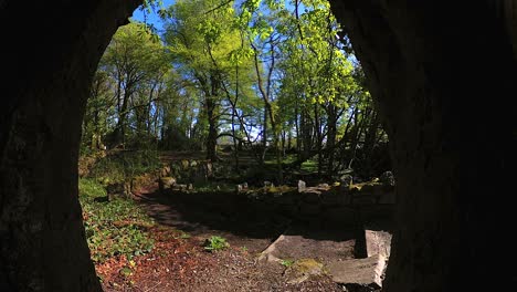 a 360 degree panorama view from inside a tree hollow looking out