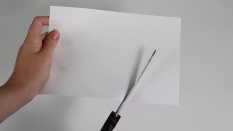 hands demonstrating paper cutting into a shape