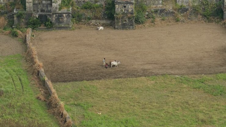 India peasant children working on the land.