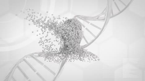 cadena de adn en 3d y cabeza humana en movimiento