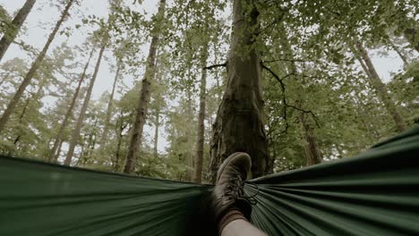 first person view from hammock swinging in forest