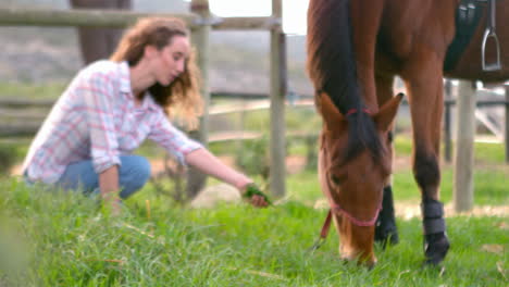 Frau-Sitzt-Neben-Einem-Pferd-Beim-Fressen