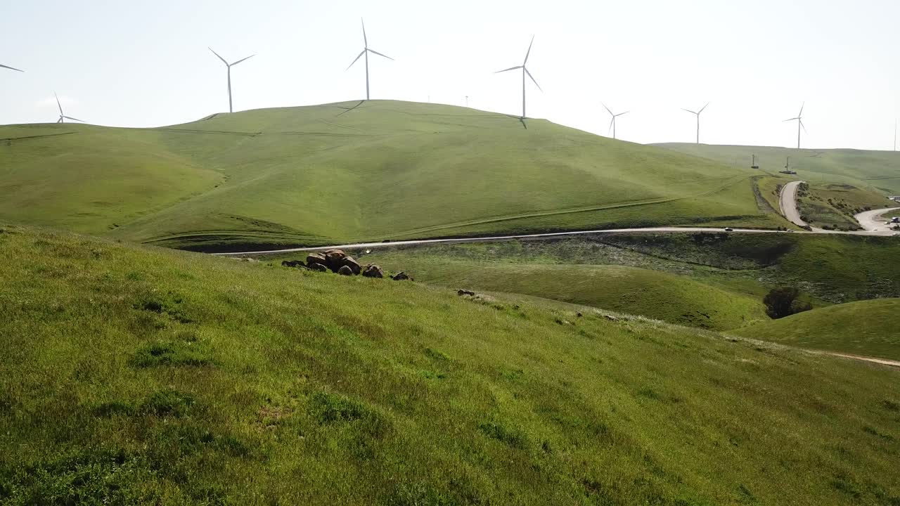 пышный зеленый склон холма с ветряной электростанцией