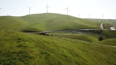 lush green hillside with wind farm